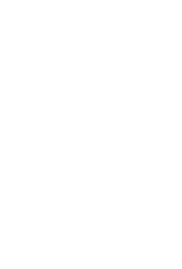 Mr. Lion